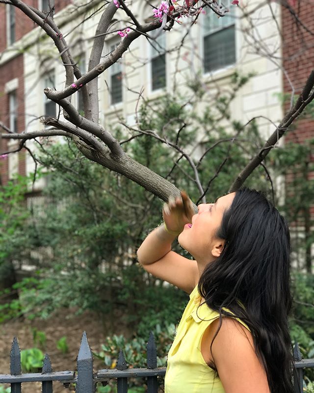 PICTURED: ANTONIA PEREZ LEADS URBAN HERBALISM, 2019